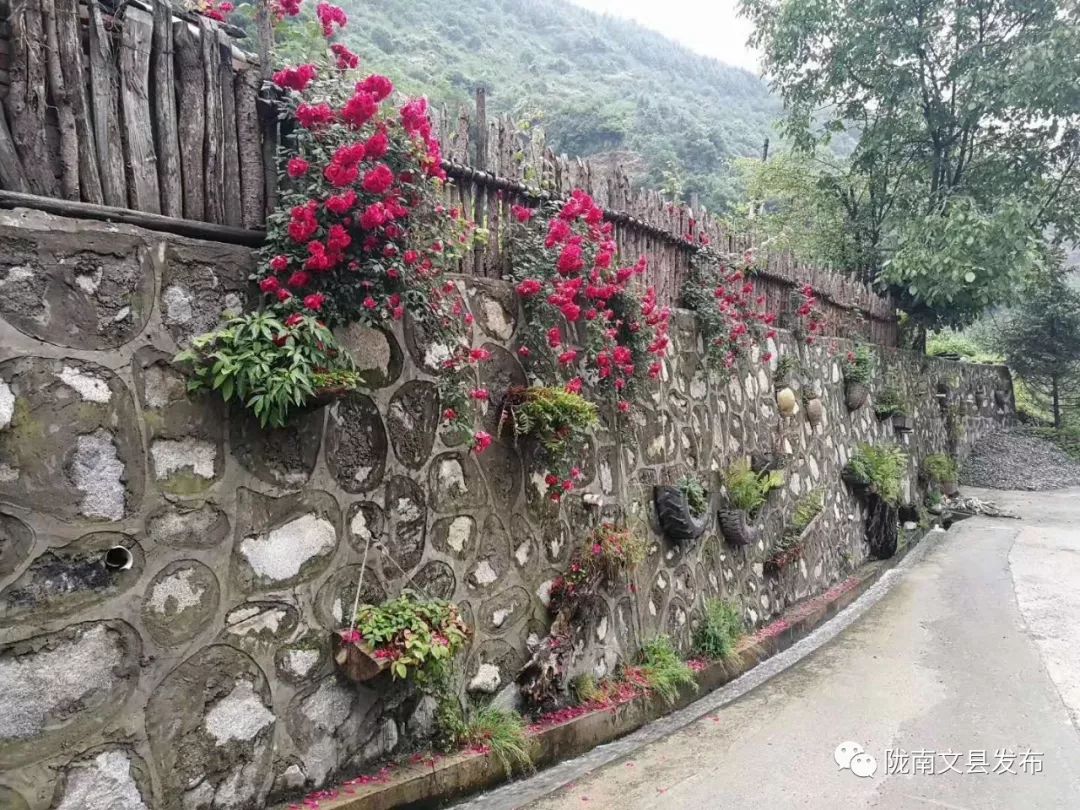 拆危治乱进行时|文县铁楼藏族乡：拆出民俗靓景区治出富裕新生活