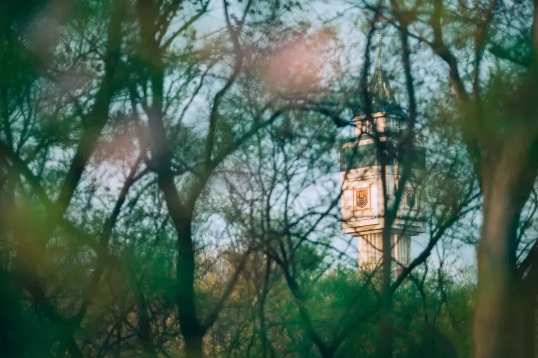 鎴戜滑鏄鐪熺殑,鏈嶅姟鎴戜滑鏄鐪熺殑