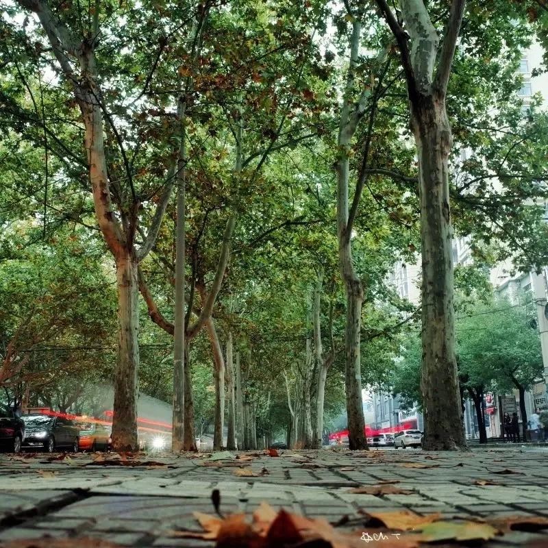 西安还有什么宝藏小众地方,西安有什么宝藏地方