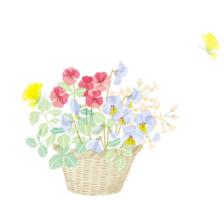 有一种心境叫随遇而安,晨读有感情的朗读