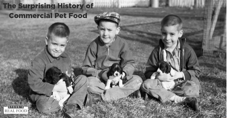 狗粮的历史来历,狗粮发展史大全