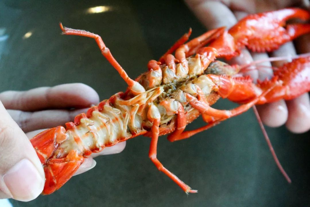 ¥498起/2位|西湖畔传奇酒店！6种口味小龙虾+美国生蚝+澳牛不限量！千岛湖啤酒尽情畅饮