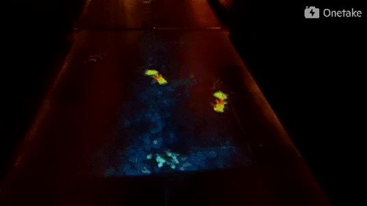 澳门最便宜的米其林餐厅,澳门星际酒店米其林二星餐厅