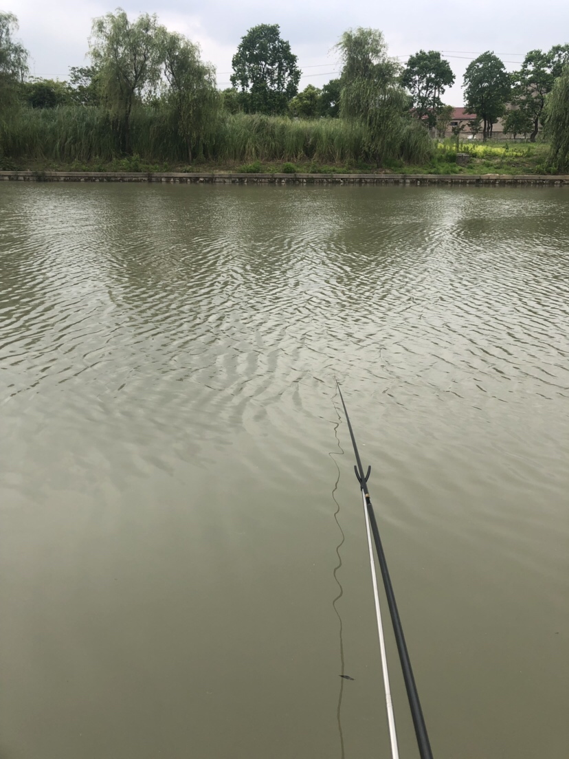 风大浪大好钓海鱼吗,风大浪大钓底还是钓浮