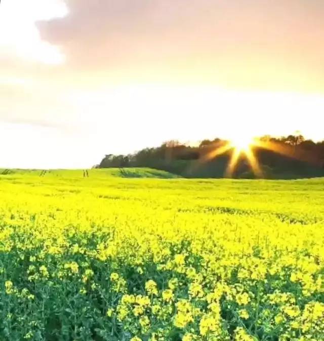 生活在临颍,一个人的生活临颍