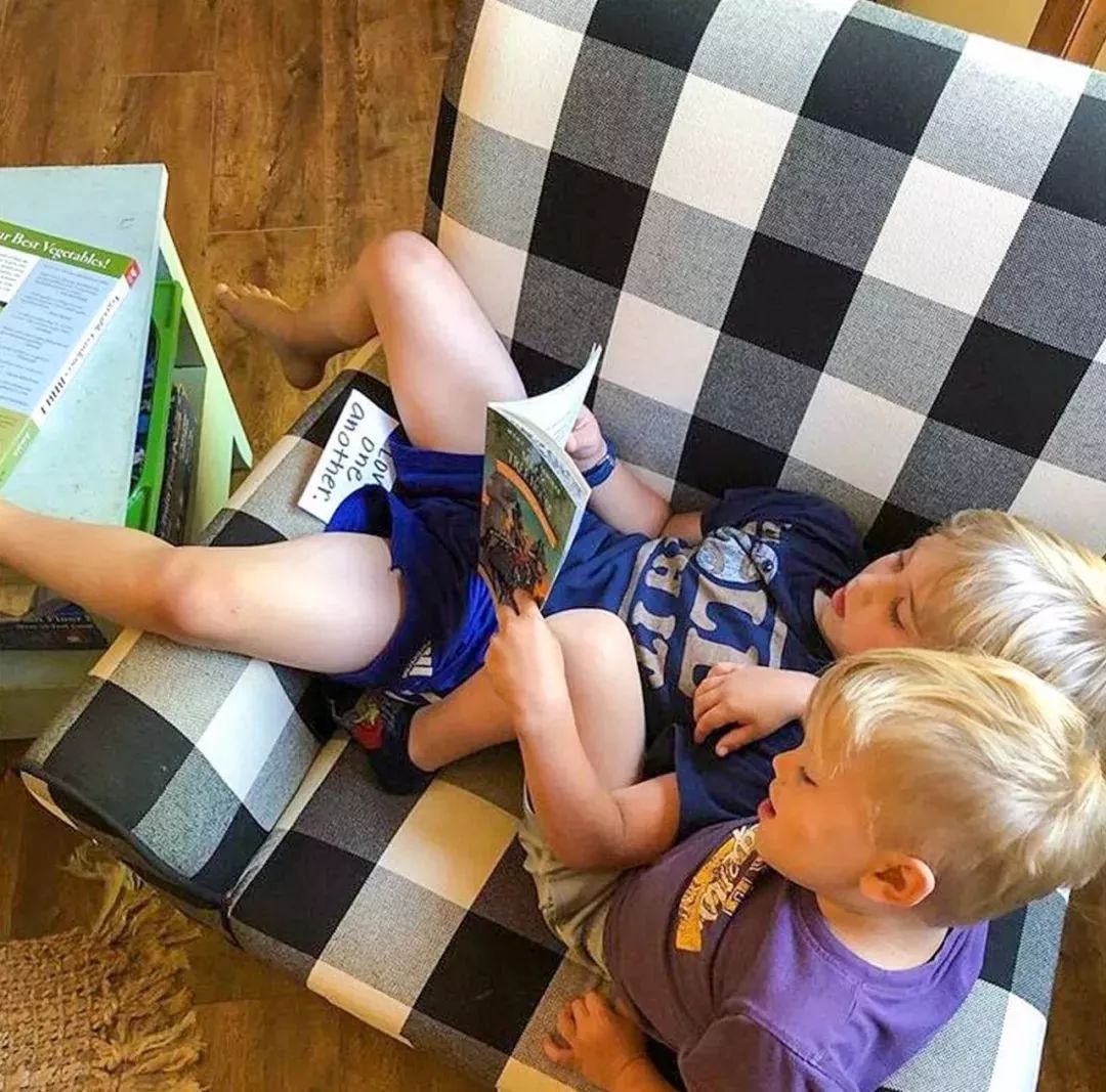 树屋英文原版书单推荐,英文童书神秘树屋