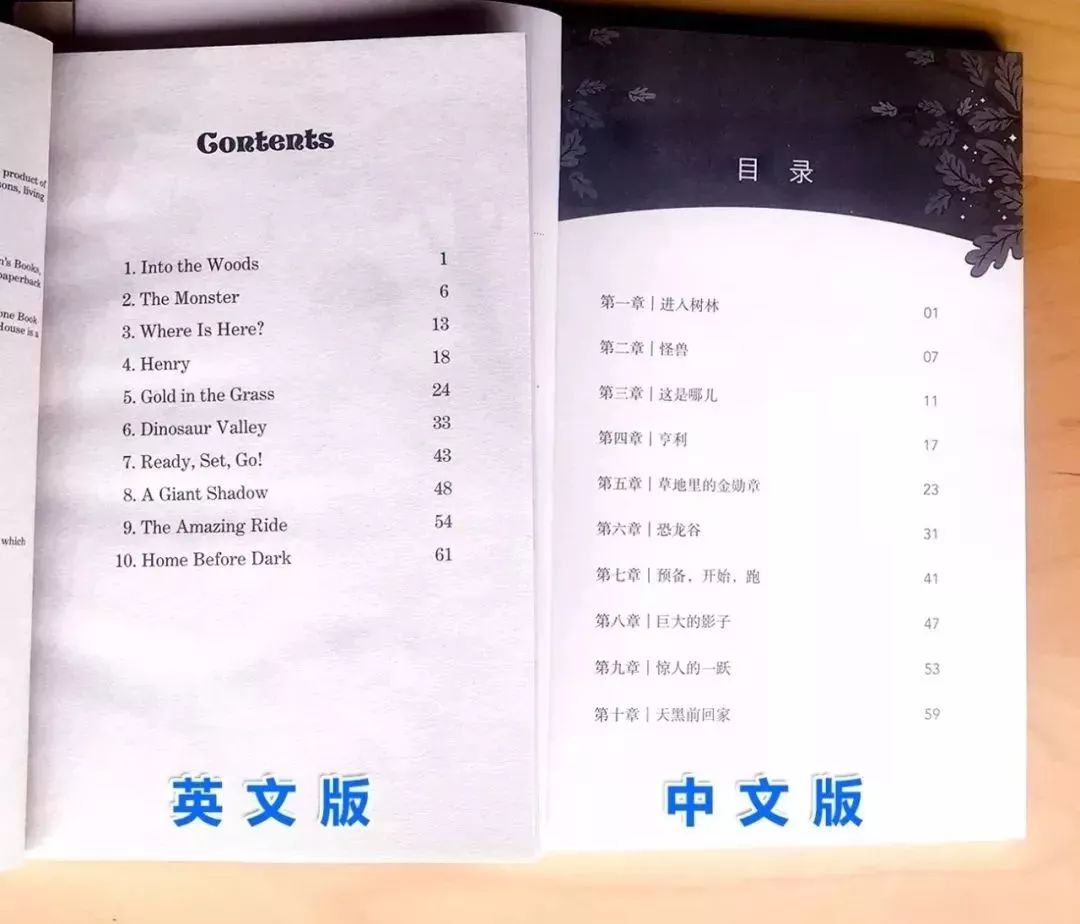 树屋英文原版书单推荐,英文童书神秘树屋