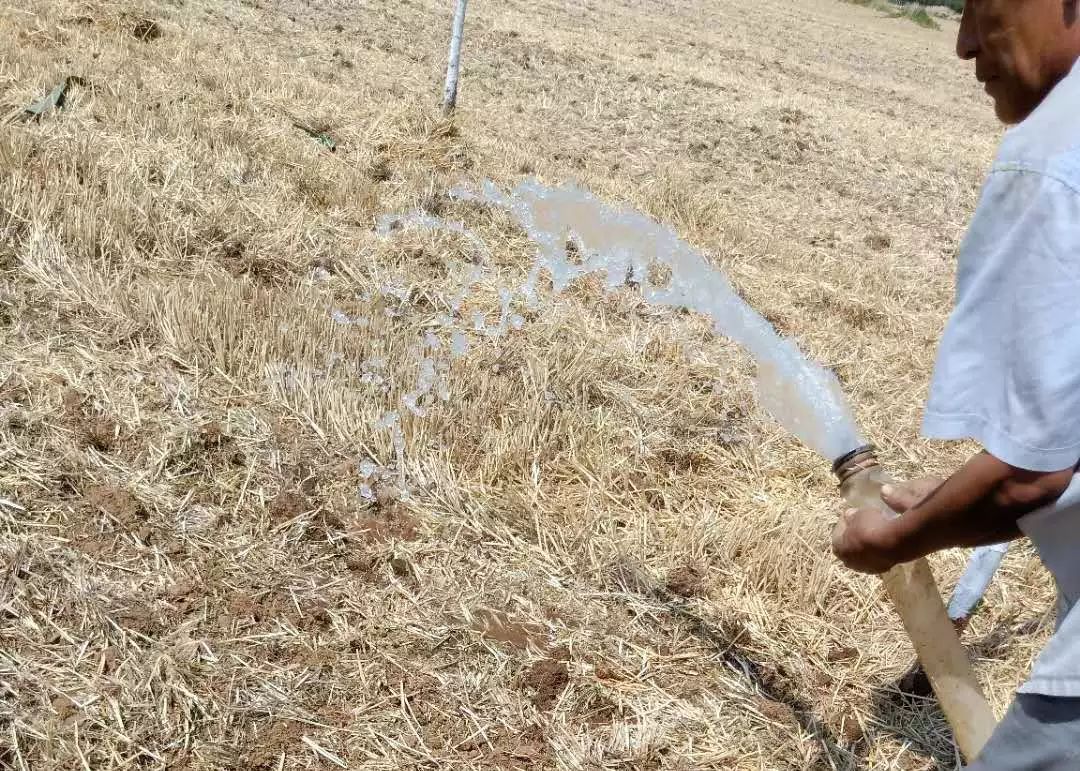 第一书记是支部第一书记吗,驻村第一书记和支部第一书记