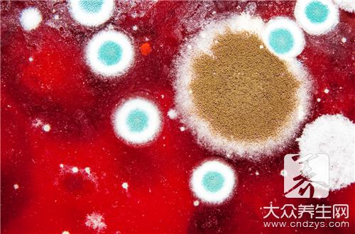 霉菌吸入鼻腔会怎么样,霉菌吸入过多的症状