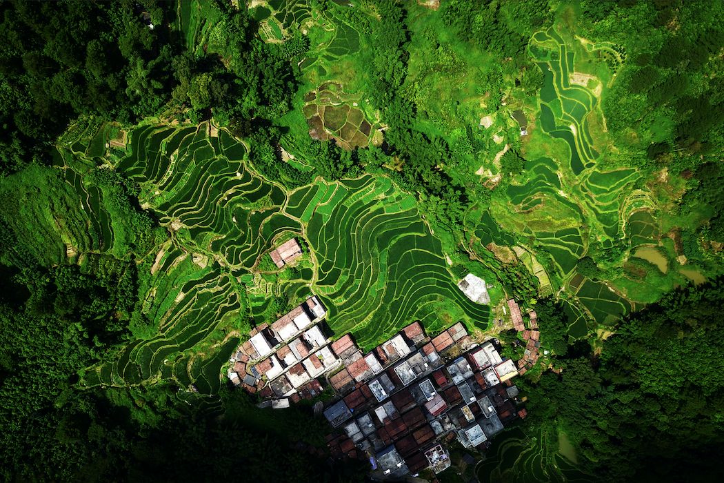 德庆乡村马拉松报名查询,广东德庆第二届乡村马拉松