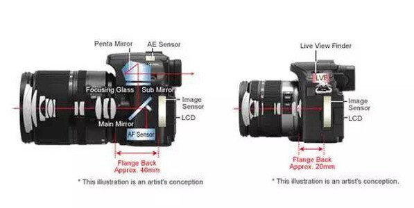 佳能高素质镜头推荐,高性价比单反照相机推荐佳能