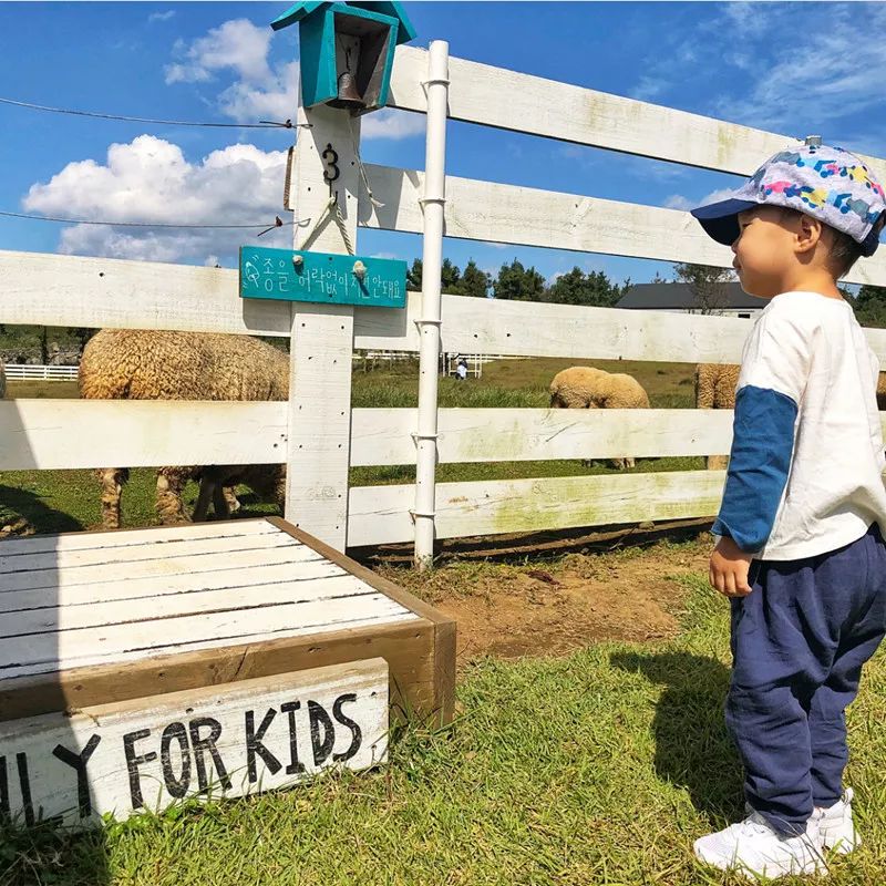 住帐篷一起看星星,住蒙古包看星星的地方