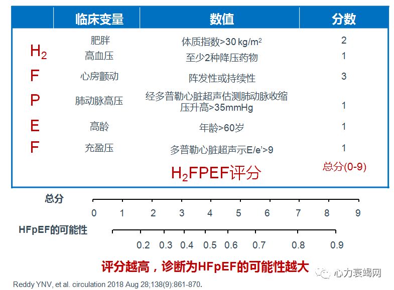 「2019CIHFC」高传玉教授：HFpEF诊断治疗新进展