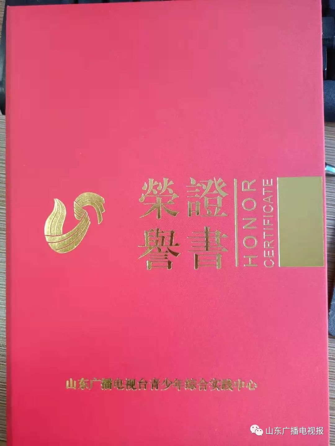 文末有福利|山东广电草原夏令营推出亲子营，8月带娃一起嗨