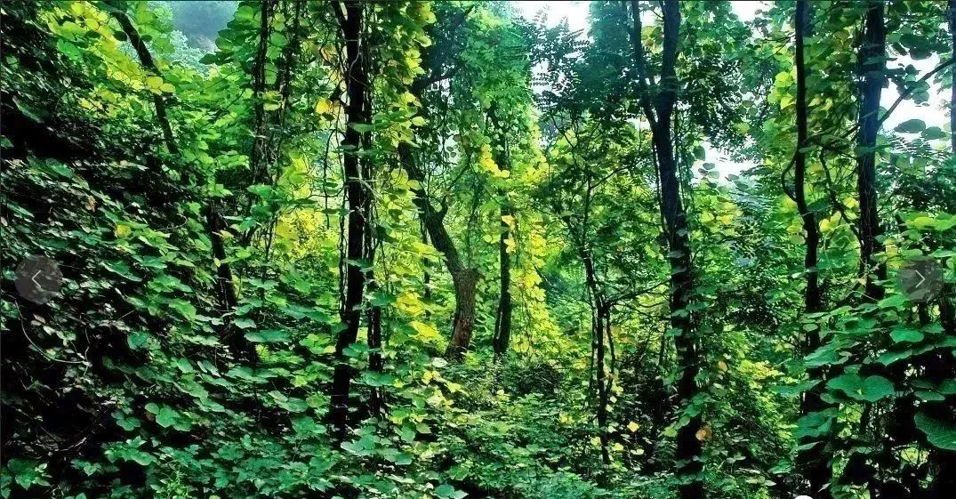 冀情山水(33)|有了这些均温不足20℃的空调山,再热情的“烤验”也挡得住!