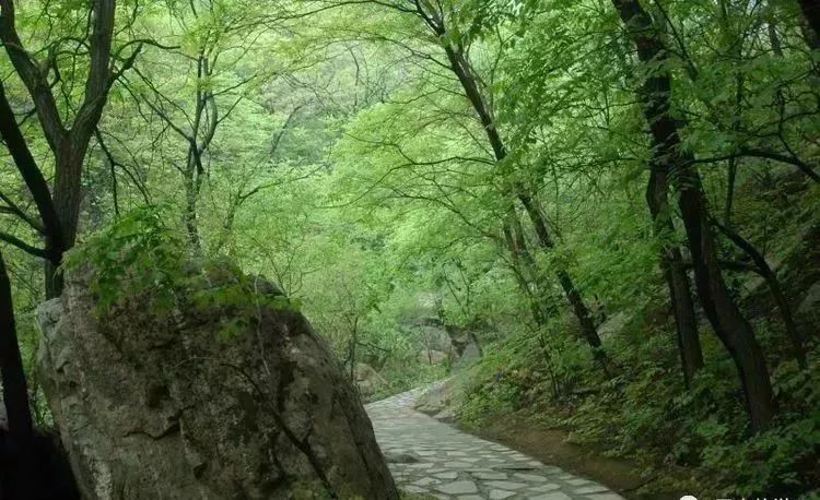 6-8月份石家庄避暑最佳地方,石家庄哪里凉快适合避暑