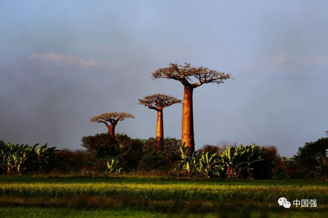 马达加斯加不可思议的旅行,马达加斯加自然景观