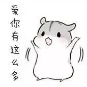 柳州每月工资5000,柳州平均工资标准