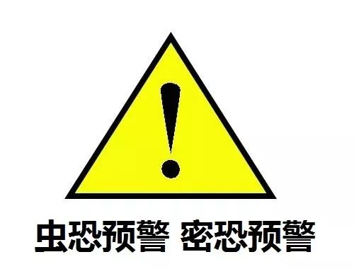见到虫子很害怕怎么办,见到光就飞过来的虫子怎么去除