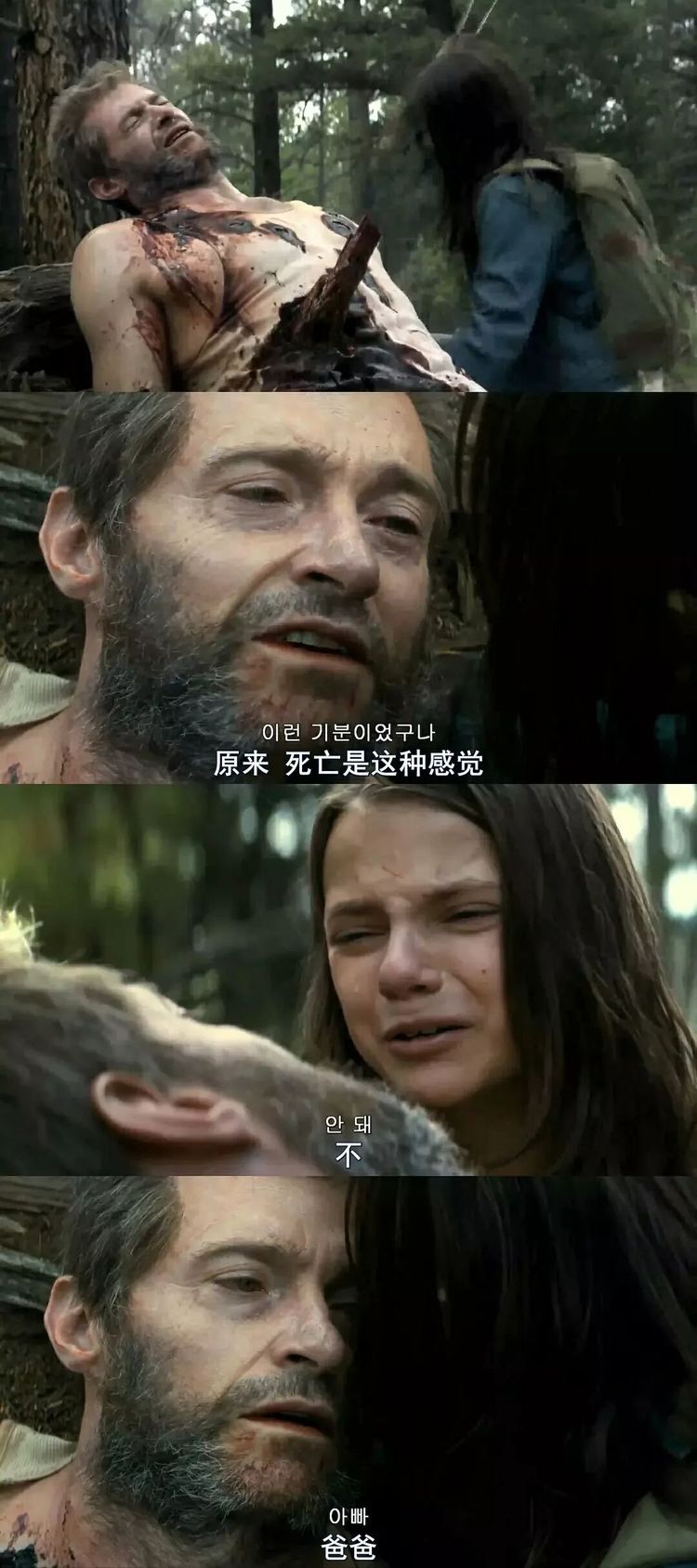 暮狼归乡金刚狼为什么杀浩克,对金刚狼的真实评价