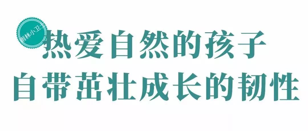来西双版纳，做大自然的学生|雅居乐·西双林语夏令营开始报名啦