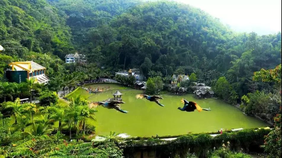 来西双版纳，做大自然的学生|雅居乐·西双林语夏令营开始报名啦