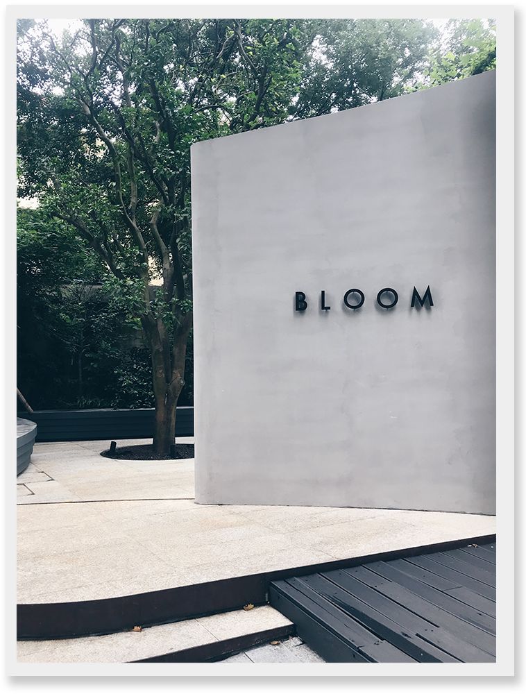 上海小南门探店,上海探店吃到白冰吃过的芝士