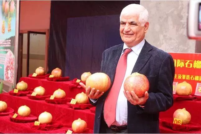 千年古城|不去会理,不知古城之大美!