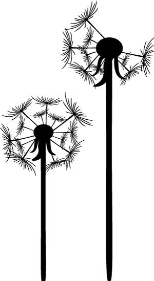 水富市少儿培训,水富市冬夏令营推荐