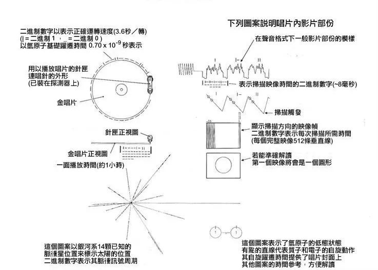 人类给地球的一封信作文,人类写给蝙蝠的一封信新闻