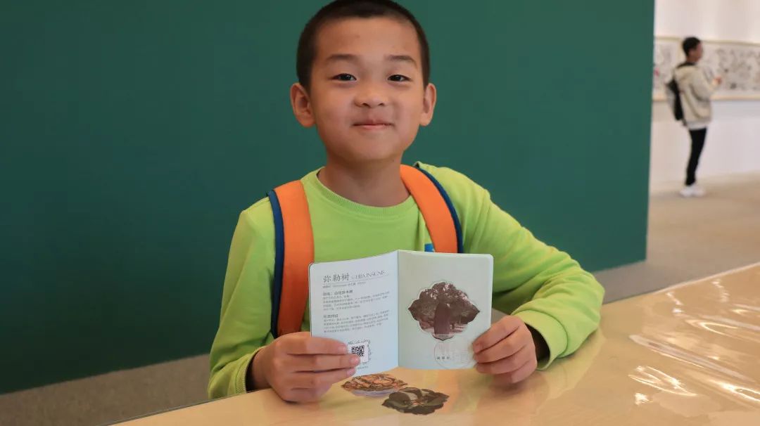 北京世园会护照图片,北京世园会护照全部盖章