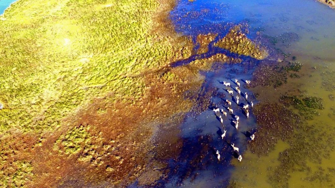 江苏的世界遗产旅游景区,江苏哪些地方被列入世界文化遗产