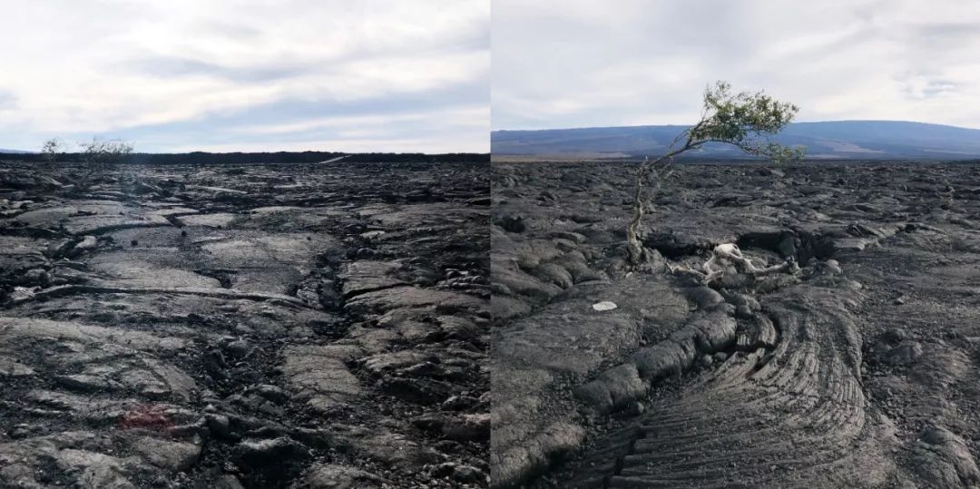 夏威夷旅游攻略阿罗哈,夏威夷maui岛旅游攻略