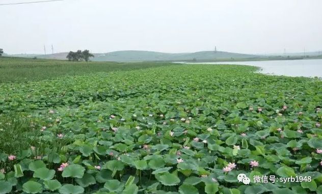 沈阳周边十一游玩好去处带孩子,暑假沈阳好玩的地方推荐
