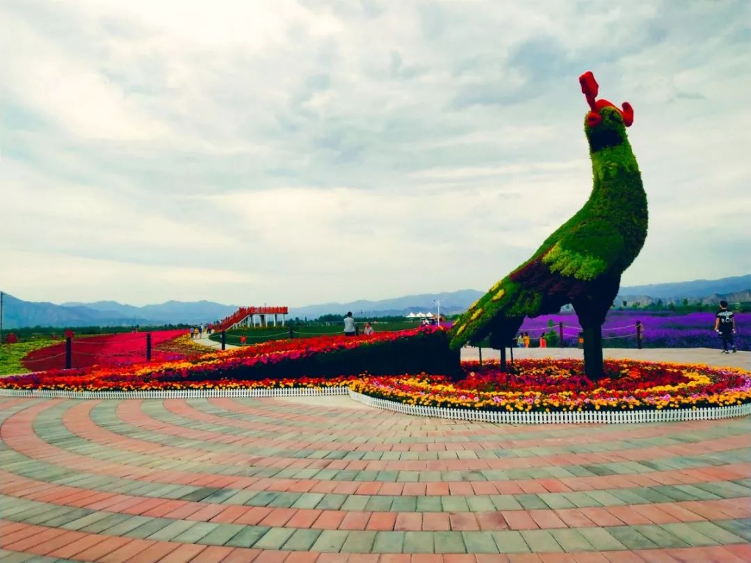 白银市区到大坪花海,去大坪玩攻略