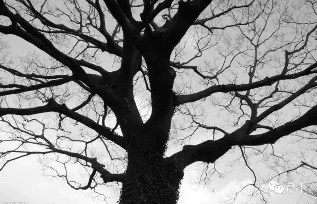 设计革命|打磨一块乌木了却一桩“心饰”