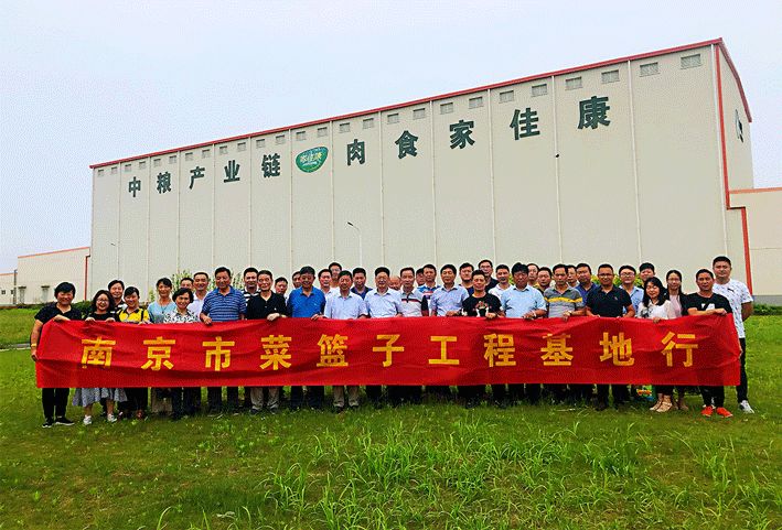 南京菜篮子工程,南京菜篮子招商