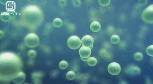 防止细菌感染喷雾,每天喷什么能消毒防感染