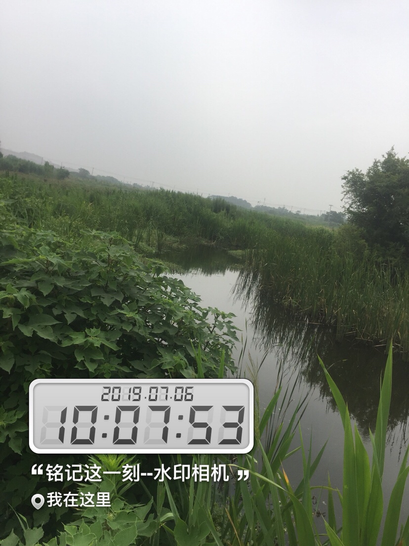 雷强2020年视频,2019雷强视频