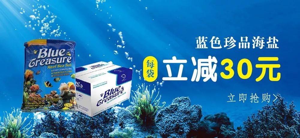 混养海缸鉴赏,混养大型海缸