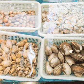 5月1日执行的教育政策有哪些,动物防疫法5月1日起执行