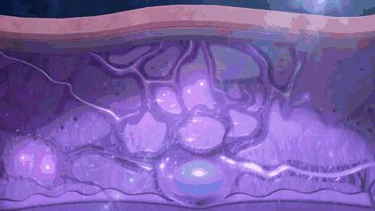 最受日本女生欢迎的素颜霜,美白素颜霜遮瑕懒人伪素颜