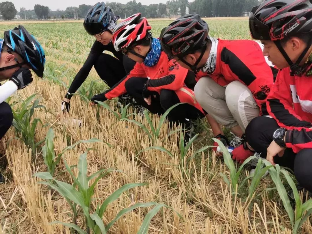 校领导紧张，家长被气住院……80后教师为何坚持带毕业生骑行1800公里|精选