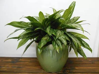 空调房老是有异味怎么办,空调房里感觉有臭味怎么回事