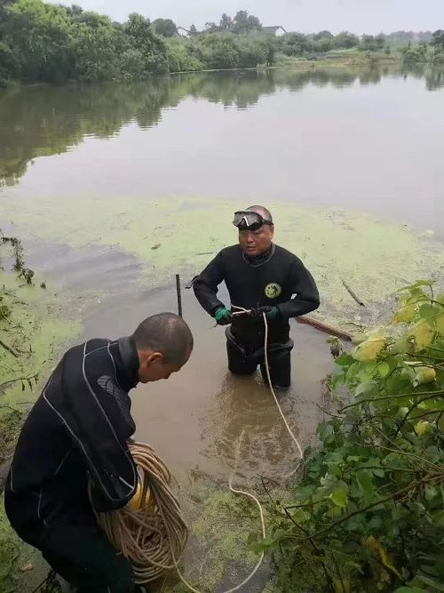 南方的水灾抗洪救灾,全国暴雨抢险救灾工作情况