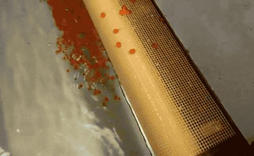 分子料理黑醋爆珠,鸡尾酒分子料理爆珠怎么做