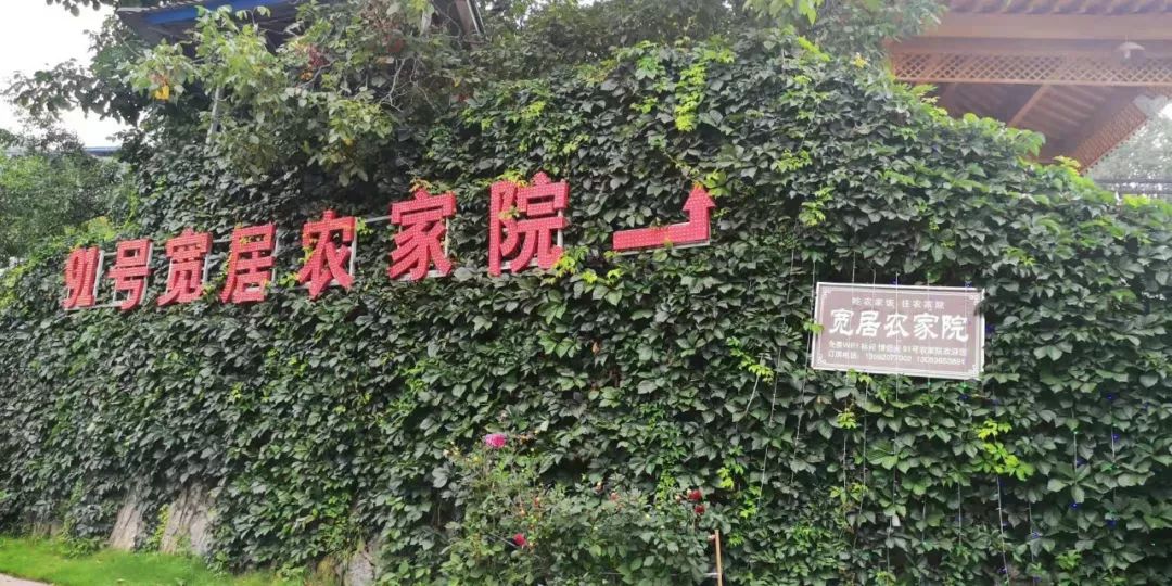 洛阳市养子沟旅游攻略,养子沟一日旅游攻略