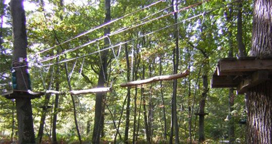 鏍戦《鎺㈤櫓鍏洯娓哥帺,鏍戦《鎺㈤櫓鍏洯娓哥帺鏀荤暐