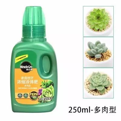 多肉怎么选泥土,多肉需要补充哪种肥料