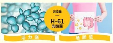 麻范儿好物|日本“吸油圣斗士”，1天1条，7天瘦出小蛮腰！酸酸甜甜，比果冻还好吃